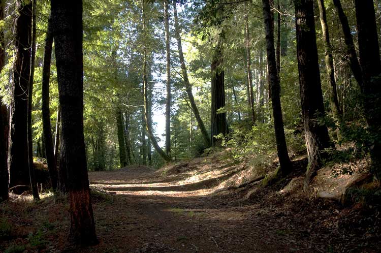 Detour off Highway 101 to Highway 1 south.