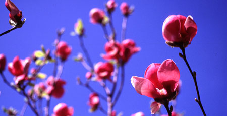 Outside the doctor's office in Palo Alto.